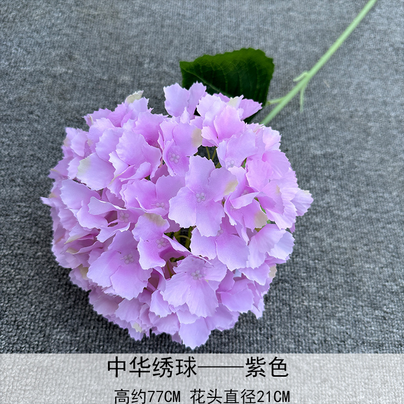 Hortensia China púrpura