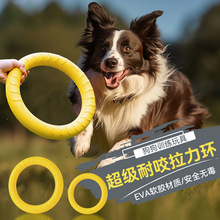 跨境狗狗玩具户外训练人宠互动拉环消耗体力EVA软胶耐咬宠物飞盘