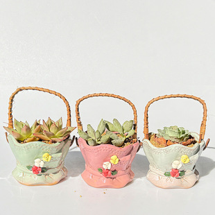 �羳������@�ٗl΢���^�׺ζ��⻨������ҾӔ[�����m���԰��ֶY