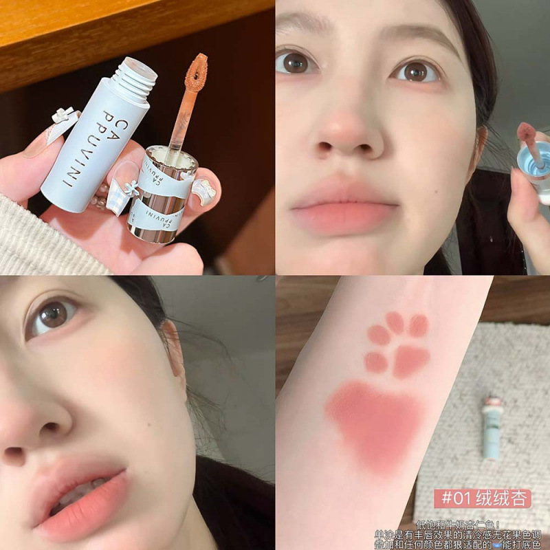 CAPPUVINI suave niebla lipstick blush blush blush natural blush blush cosmético transfronterizo