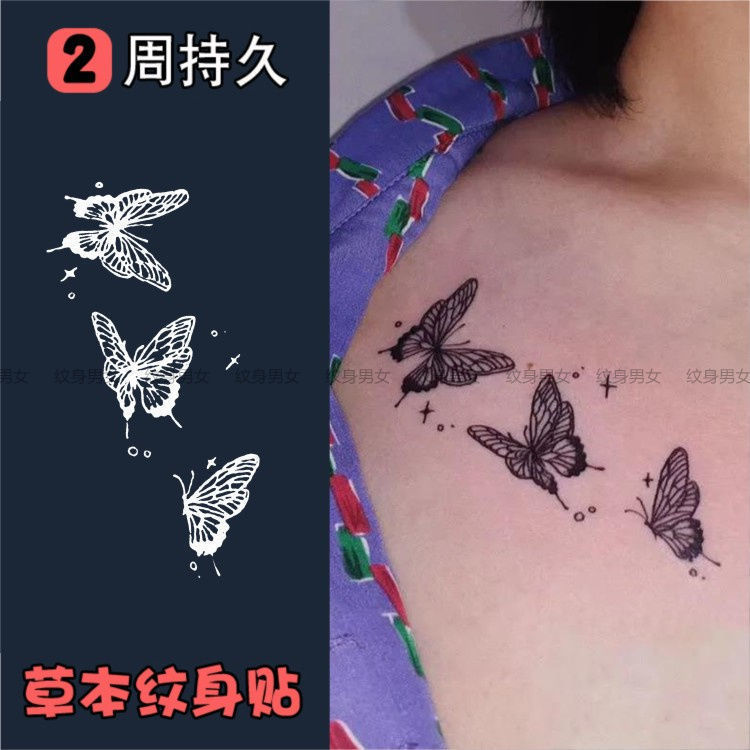 Herbal Tattoo Stickers Hand-Painted Lines Small Butterfly Dark Juice Plant Women and Men Waterproof and Long-Lasting Herbal Tattoo Stickers Hand-Painted Lines Small Butterfly Dark Juice Plant Women and Men Waterproof and Long-Lasting