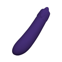 ӰŮȤĦ һl vibrator