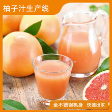 ���ӹ�֭���a�� ���ּӹ��O��ˮ����ϴȥƤȥ��ե֭���a��