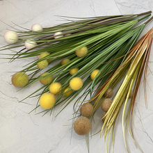 ���W�A����ݻ��JȔ�ݼٻ����ϻ��W�t�͏d�b[�Ż�ˇ�Sֲ��