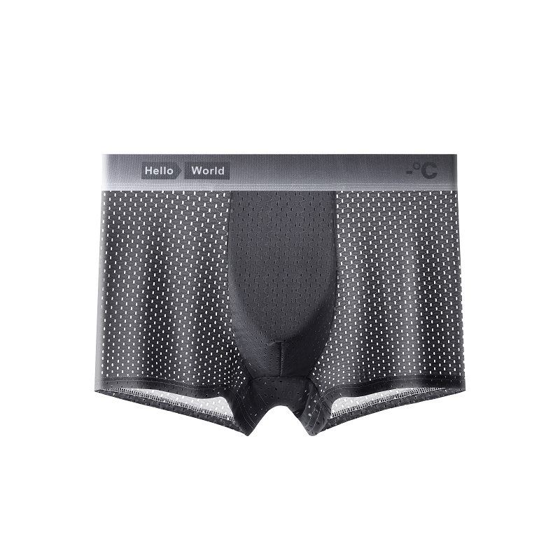 Ropa interior masculina de seda de hielo verano delgada malla de cintura media transpirable Boxer shorts para niños cabeza ropa interior juvenil antibacteriana