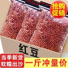 ���r�t���|����؛5���r���ԷN���l����s�Z�ඹ޲���¶����а��