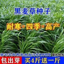 ���ݷN���M�ڶ������������ļ��Nֲ�Bţ���u���~�Z�ø߮a�ͺ�����