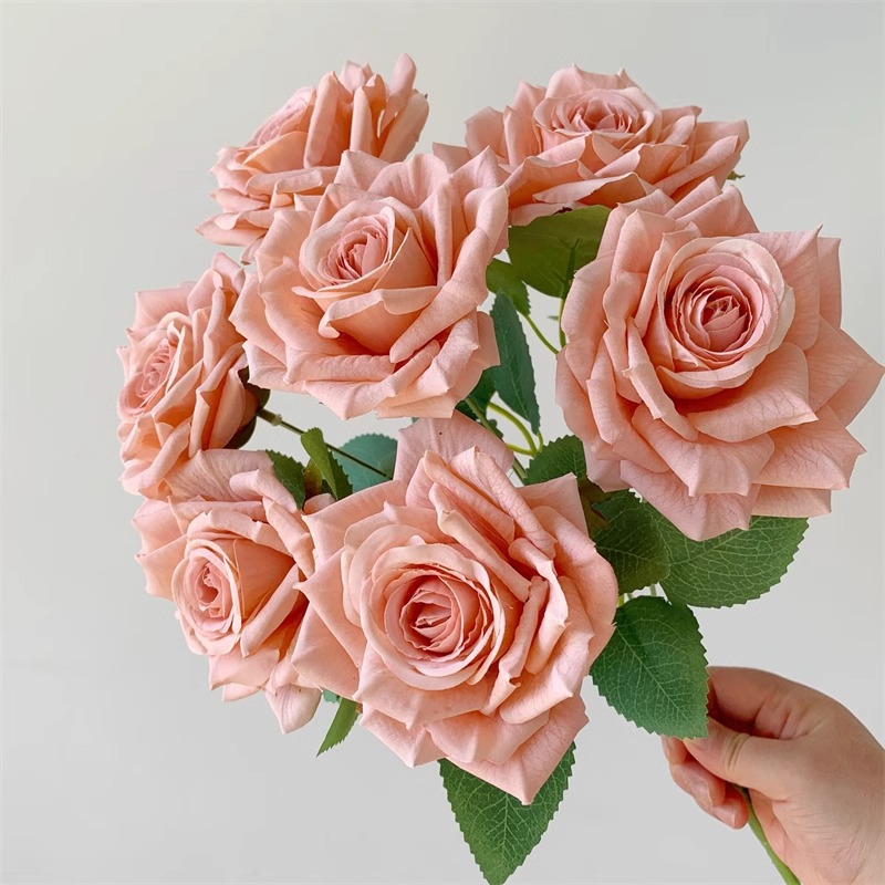 Cappuccino Bundle / Relievo