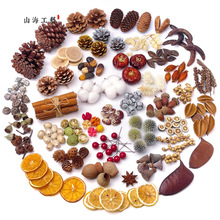 ��Ȼ�ɻ��ɹ��ɘ�֦������}�Q�����׃��@�h���T�f�̌W�����ɹ�