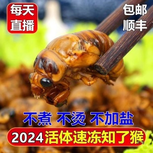 2024��֪�˺����r���w���s����Y���������Ǽ�ʳ�Q�sӼ��S���]