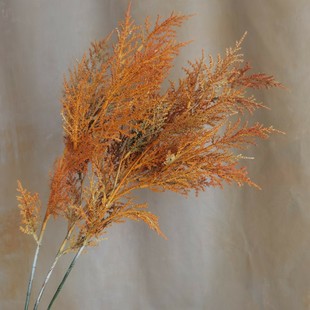 PβFڡTҾӘӰg cIL滨ٻ