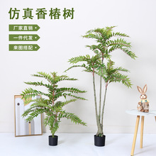 ����Gֲ �㴻��٘����� �҃ȿ͏d����ֲ����쾰����b[��