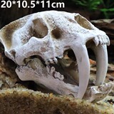 Sansui, реалистичный динозавр, череп, альпинарий, водные растения, аквариум