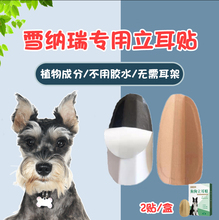 雪纳瑞立耳器幼犬小型犬狗狗立耳朵约克夏耳朵固定器立耳