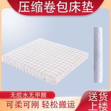 加厚舒适床垫双人压缩软床垫3d防潮可拆洗床垫两用超软席梦思床垫