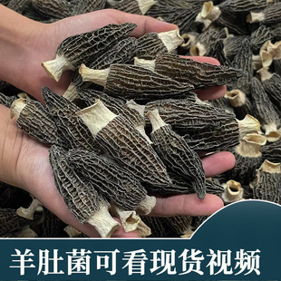 ��Ǿ���؛ ������؛ �r���aƷ�Ҝ����uʳ�þ���؛��Ǿ�