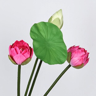 ����ɻ����~�������滨�ٻ��[���͏d�ҾӲ廨���Ĕ[�Oɏ���b�