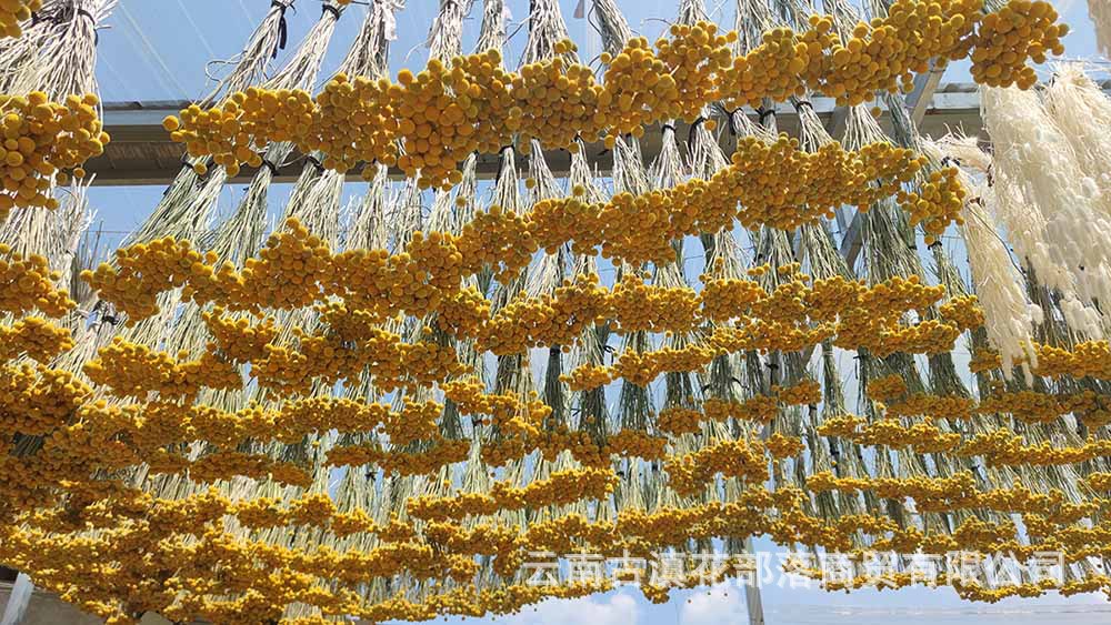 5183c93dcecac7672df6acd03bfaab