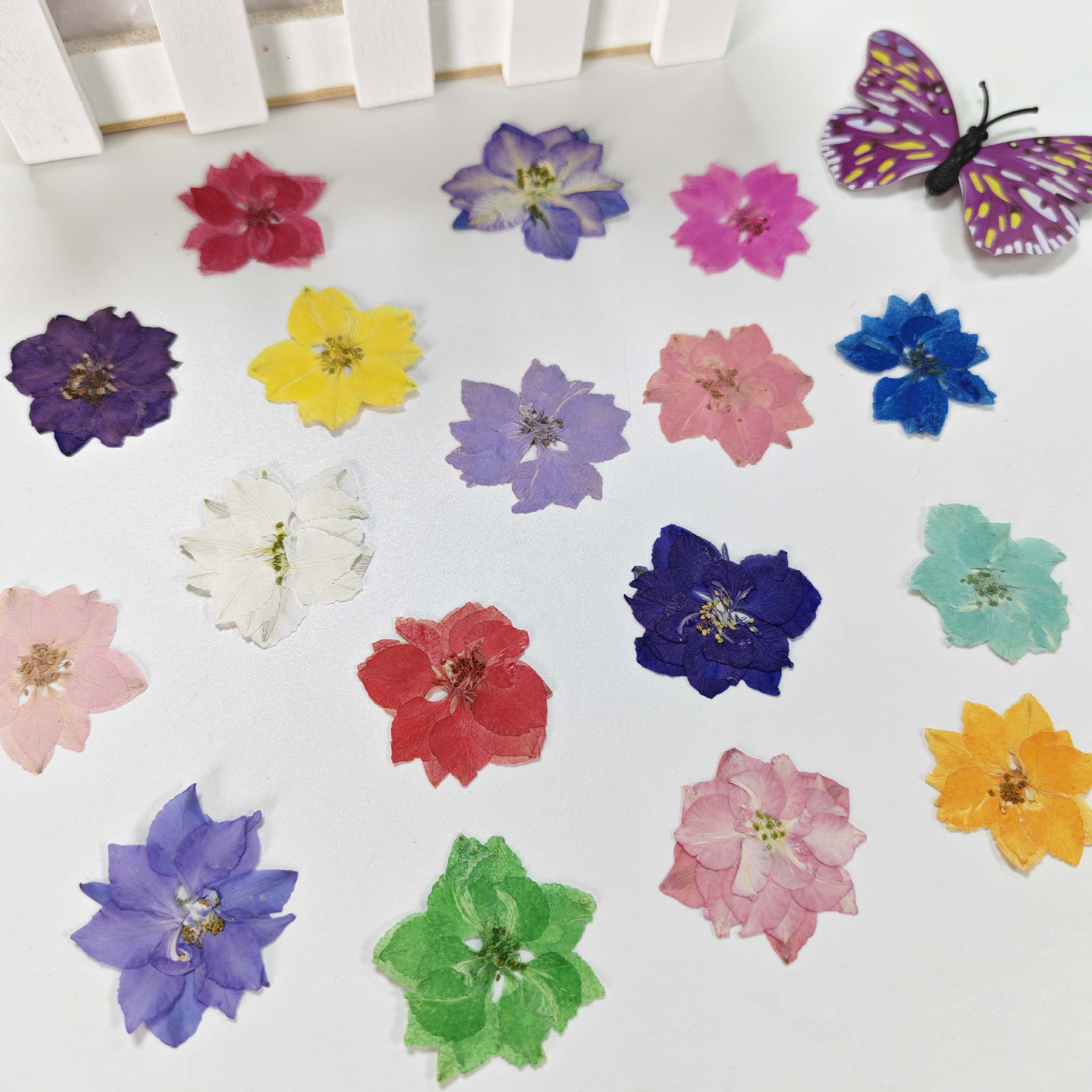 Supply delphiniums