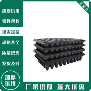 ���l50��pet���|��������P����Nֲ��������Ѩ�P
