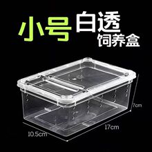 ΁ţ���l�W���^�p����[������ֳ�����
