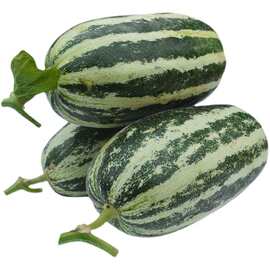 【博洋9号】羊角蜜脆瓜山东甜瓜香瓜水果现摘整箱气柱袋5斤3斤