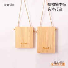 �՚��P��o��ֲ��⻨�ܻ������ֲ���ľ����̫��