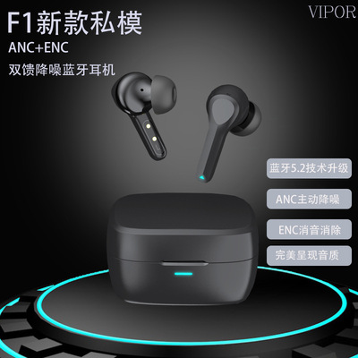 新款私模TWS无线耳机ANC+ENC双馈降噪耳机运动蓝牙5.2耳机黑科技