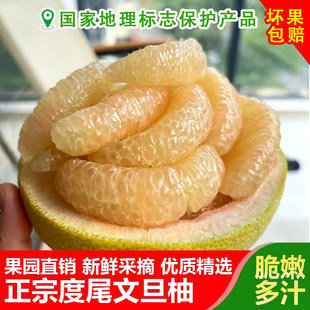 �������ζ�β�ĵ��ָ�������t�������ЋD���rˮ������Ϫ�ڼt����
