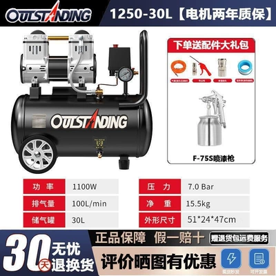 Portable 220V Air Pump — Hava kompressorları - second-speed-saic-can-be-replaced-with-a-new-one-within-two-years-1250-30l-7m-tubes-spray-gun
