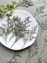 �ɻ��������˲�õ������YՈ���滨ֲ�����������DIY����
