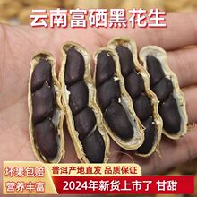 富硒黑花生带壳2023新货云南普洱种子籽晒干生熟黑皮黑花生米