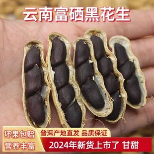 �����ڻ�������2023��؛����ն��N���ѕ�������Ƥ�ڻ�����