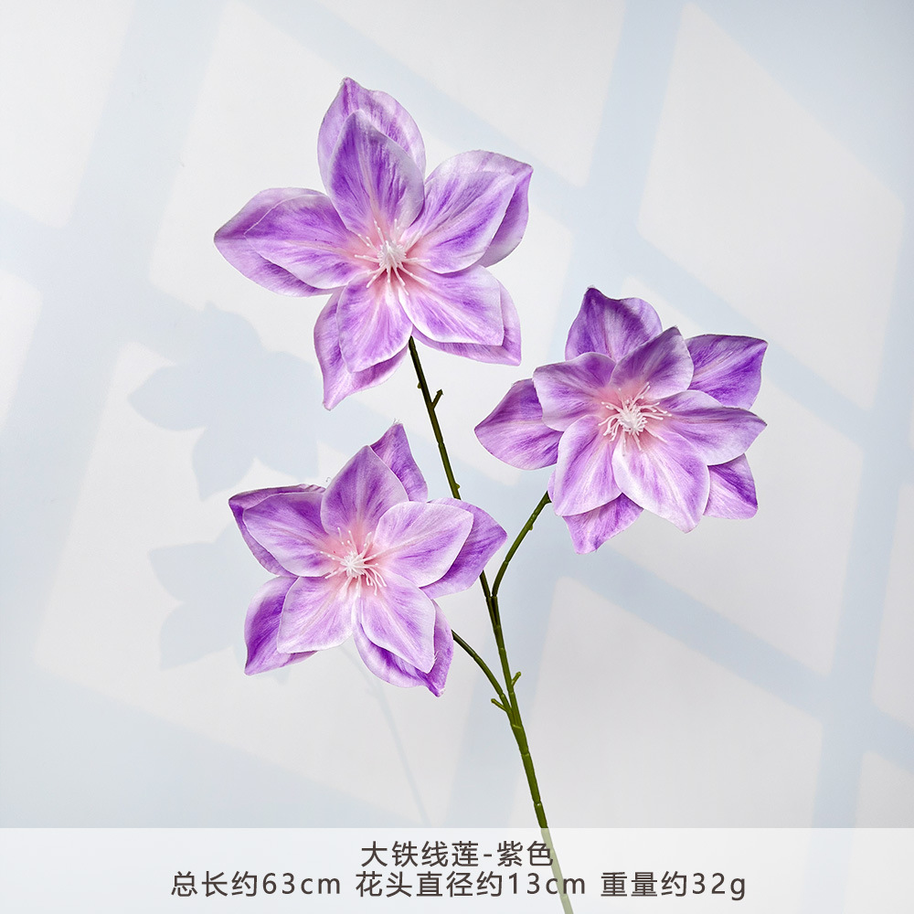 MJ-大铁线莲-紫色