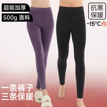 【超加厚】德绒保暖裤女士抑菌发热打底裤老人秋裤男女抗静电发热