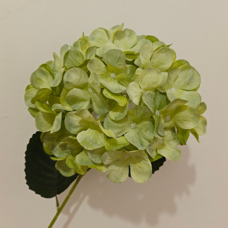 업그레이드된 3D 프린팅 모델 그린