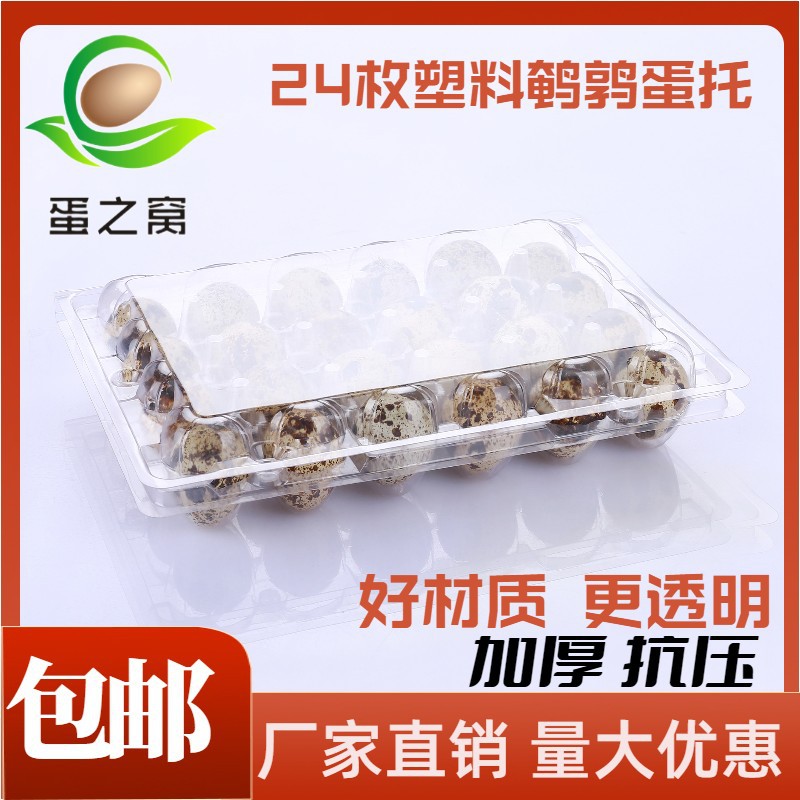 24枚塑料鹌鹑蛋一次性托带扣透明包装盒防震加厚厂家直销批发包邮