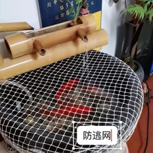 �~�����w�W�ֈA��ͨ���ͷ����W�����~Ͱ�A�μ��þW�۷����W�A��