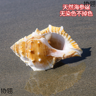 ��������Ȼ����ؐ���~��ˮ���쾰�Ҿә����b[ľ�з��Q��