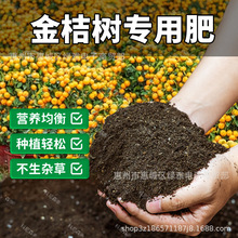 ����ۘ䌣�������B��ͨ���͠I�B���Gֲ�Nֲ���������ЙC��������