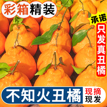 �Ĵ�֪��������rˮ�����������˹ֳ����ο޽۰Ұ��Ӹ�