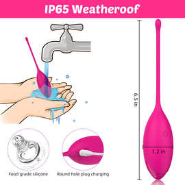 妍爱小蝌蚪穿戴震动按摩异地无线遥控跳蛋自慰器女性用品代发