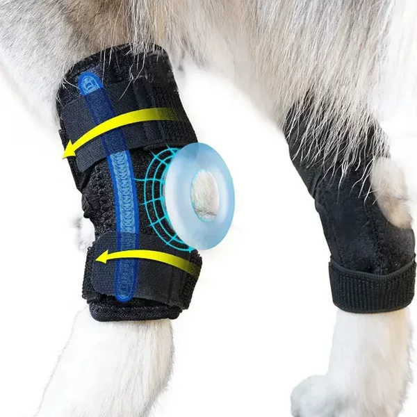 Pet Knee Pads, Leg Protection Sleeves, Compression Support Braces, Joint Stabilizers, Anti-Bite and Anti-Lick Leg Guards, Auxiliary Straps with Springs
