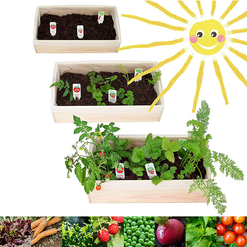 亚马逊迷你花园入门种植套件跨境创意儿童新手栽培套装厂家直供
