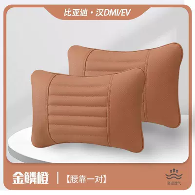 lumbar pillow interior accessories – Headrest - han-golden-scale-orange-lumbar-pillows-a-pair