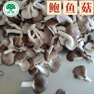 Производители непосредственно поставляют Xiangyu Ping Mushroom Fresh Fresh Fresh Package 500G свежих грибов, большого количества оптового места