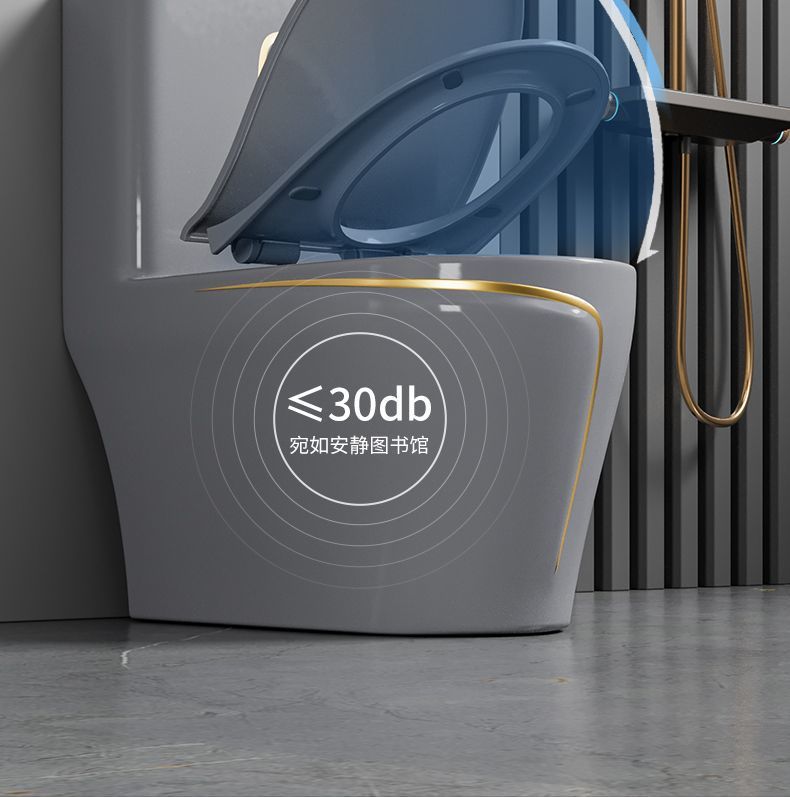 The toilet is a grey household water pump ceramic with a colorful siphonic anti-odor type. It is a high-flush toilet seat and toilet bowl undefined