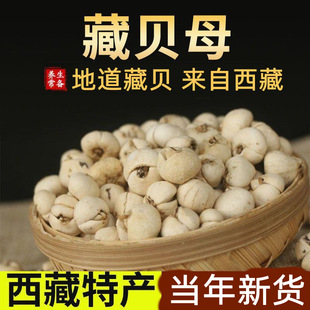 ���ز�ؐĸҰ��һ�ȴ���ƽؐĸ�o��ؐĸplus��؛��ؐĸ500g��ؐĸ