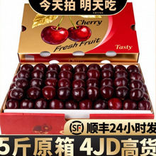 露天直发智利车厘子大樱桃新鲜酸甜整箱包邮产地大果