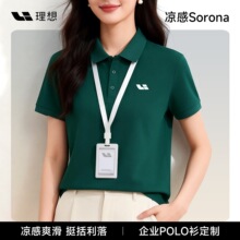 ���_��POLO������������ӡlogo�ļ�������I4S��ī�G�F��b�Ļ���